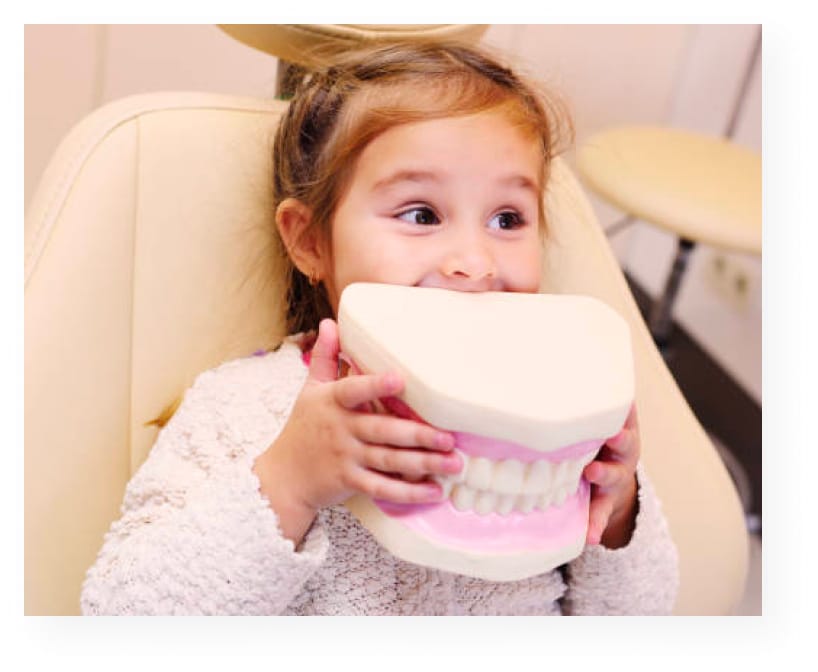 Young girl in dentist chair holding up a giant, plastic replica of teeth.